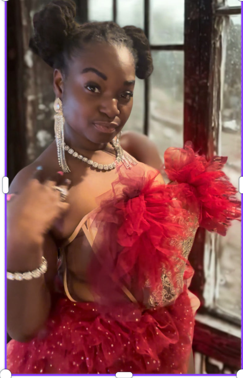 Risk it All (2 piece skirt set )