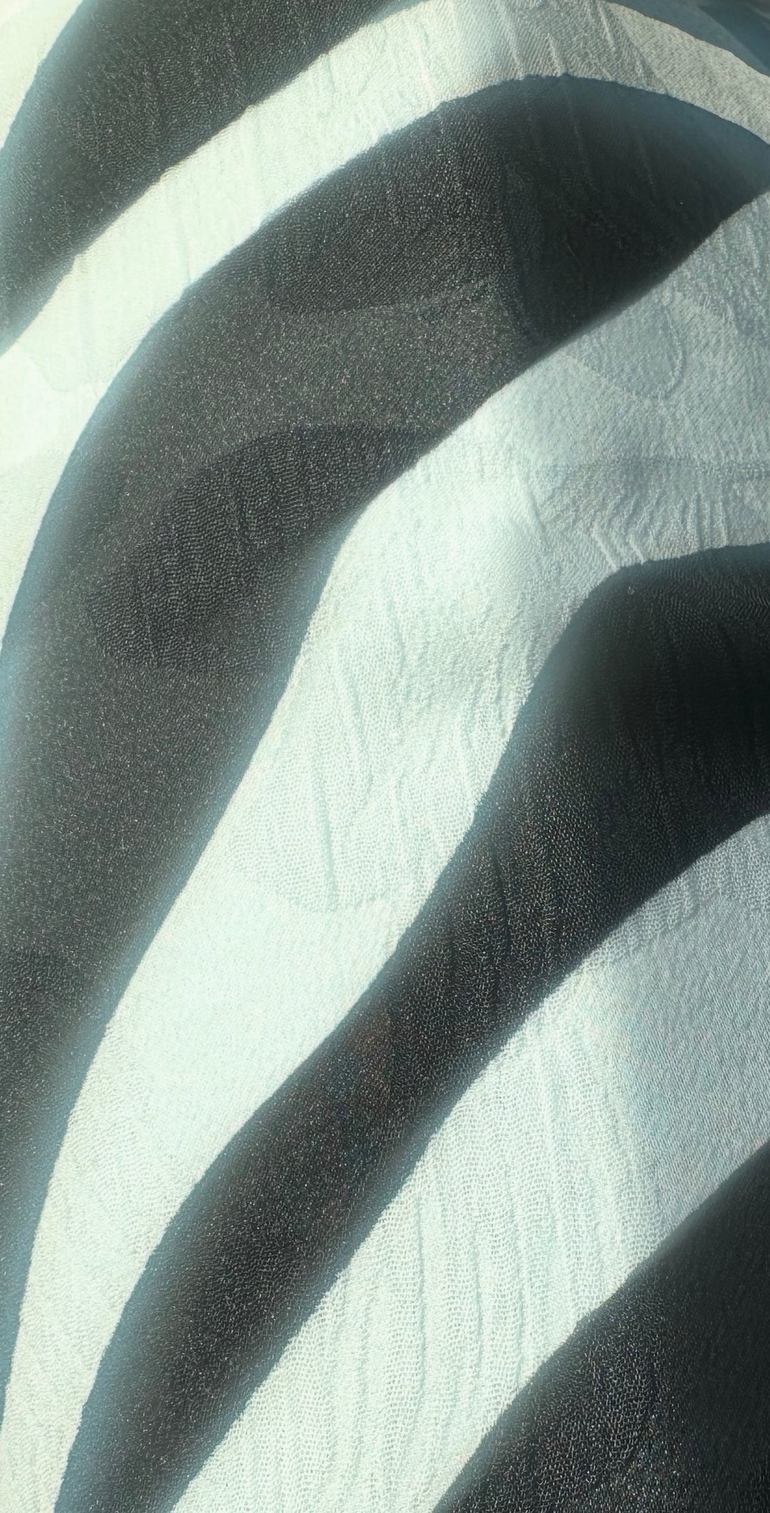Runway ZeRoyalty Pants